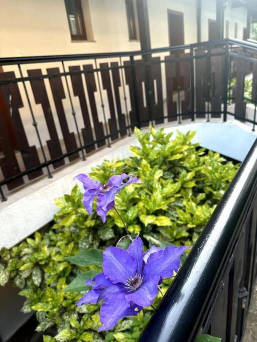 Spacious Fully Furnished Studio In Kavarna Apart Hotel Extérieur photo